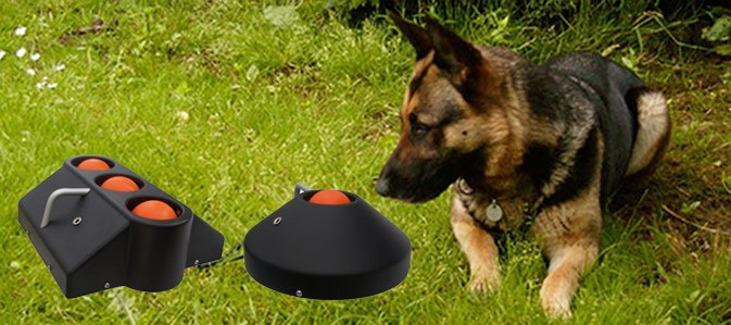 hund mikrocomputer beskyttelse newcannonball.dk